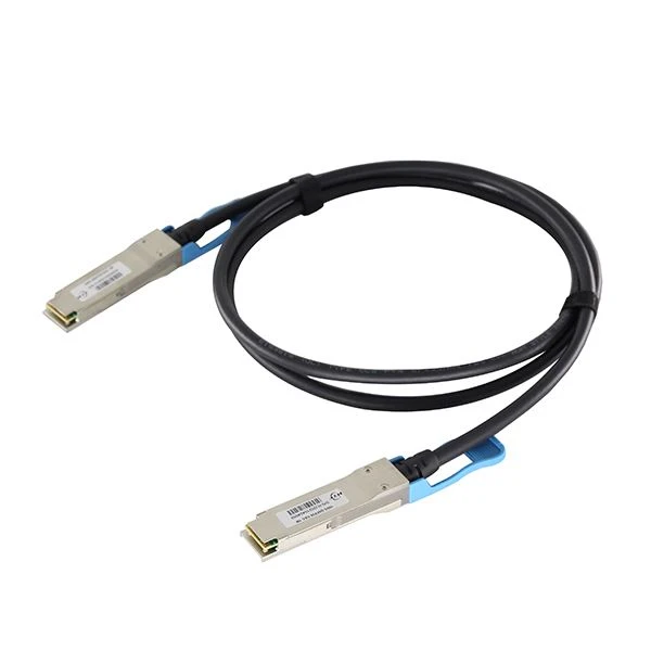 100G DAC 1M 2 100G DAC 1M 2